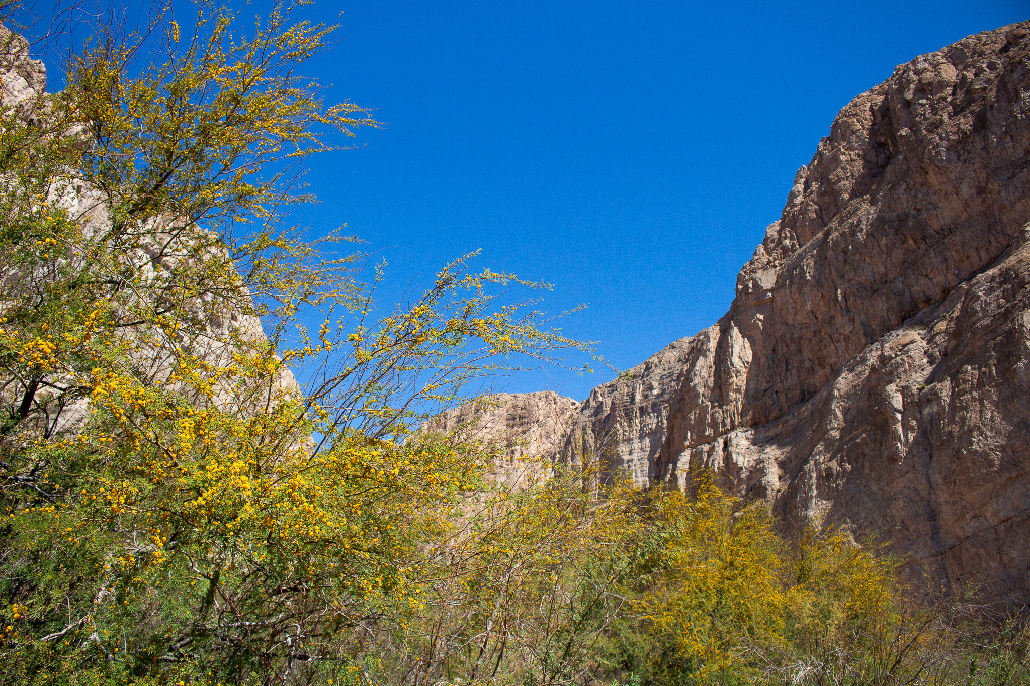 bigbend