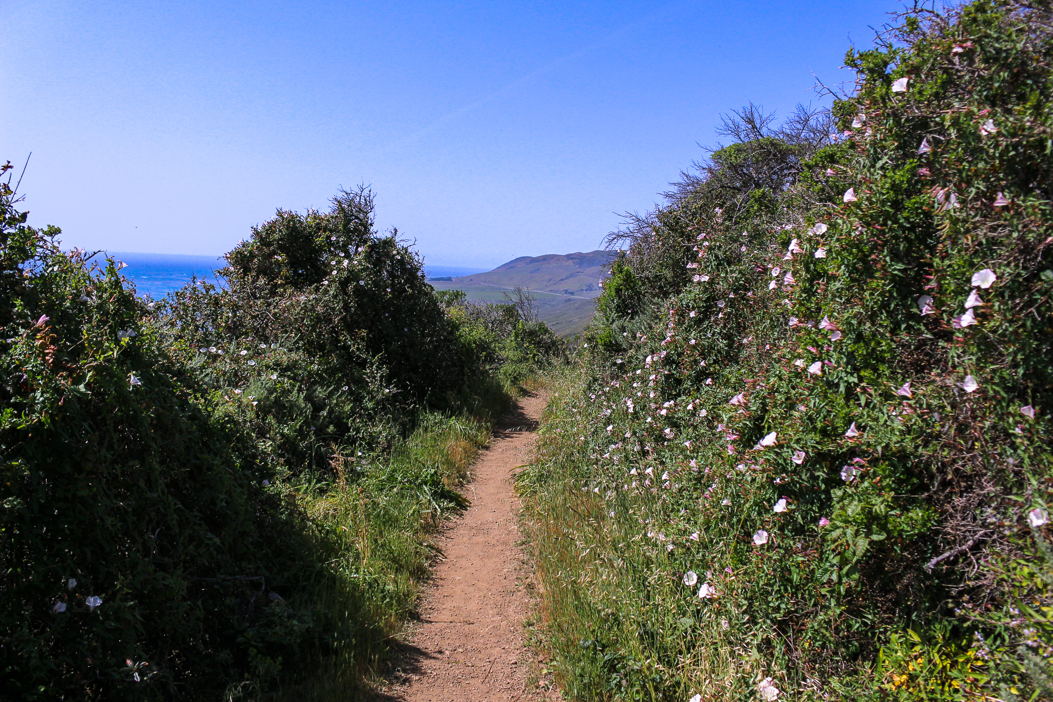 bigsur