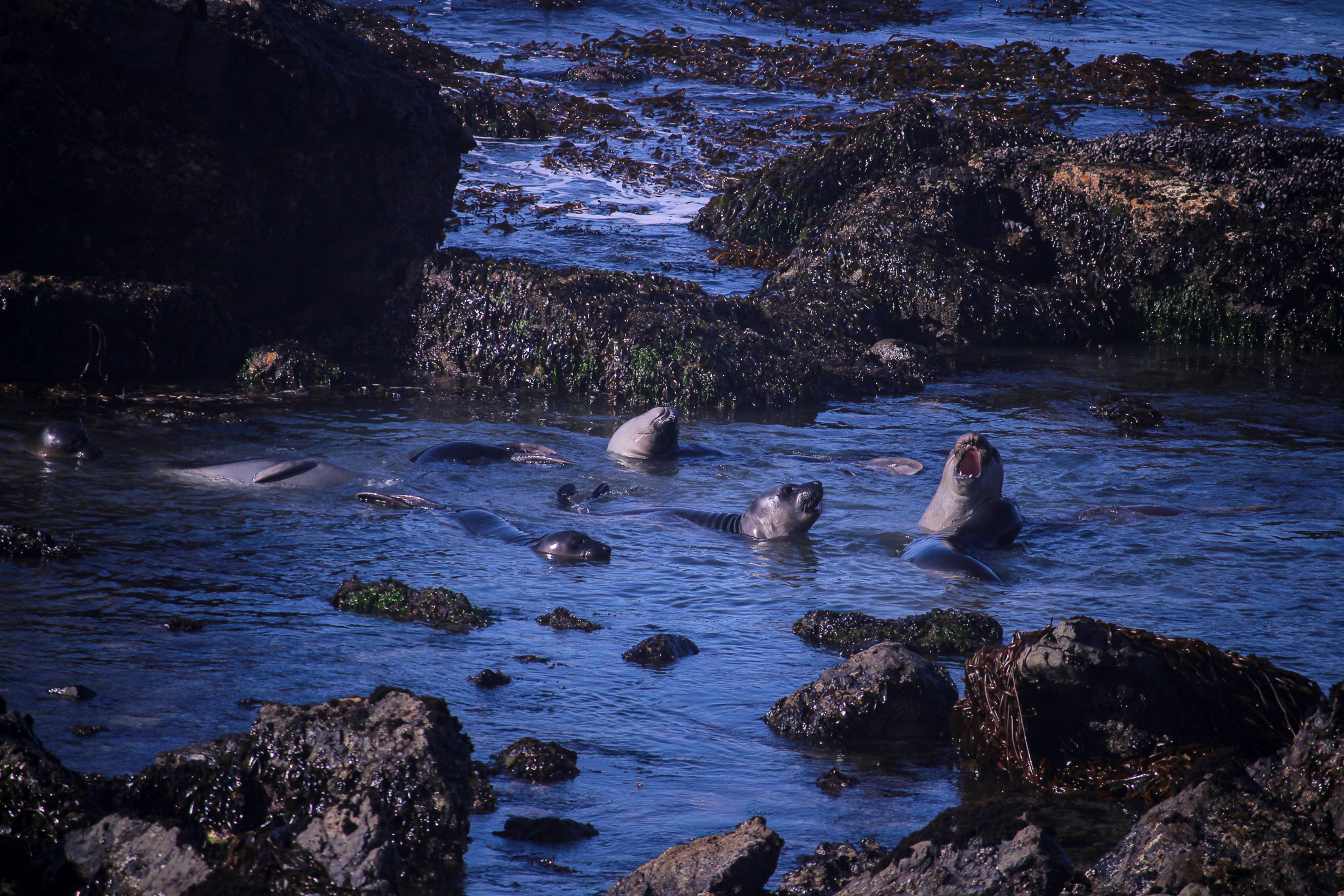 bigsur