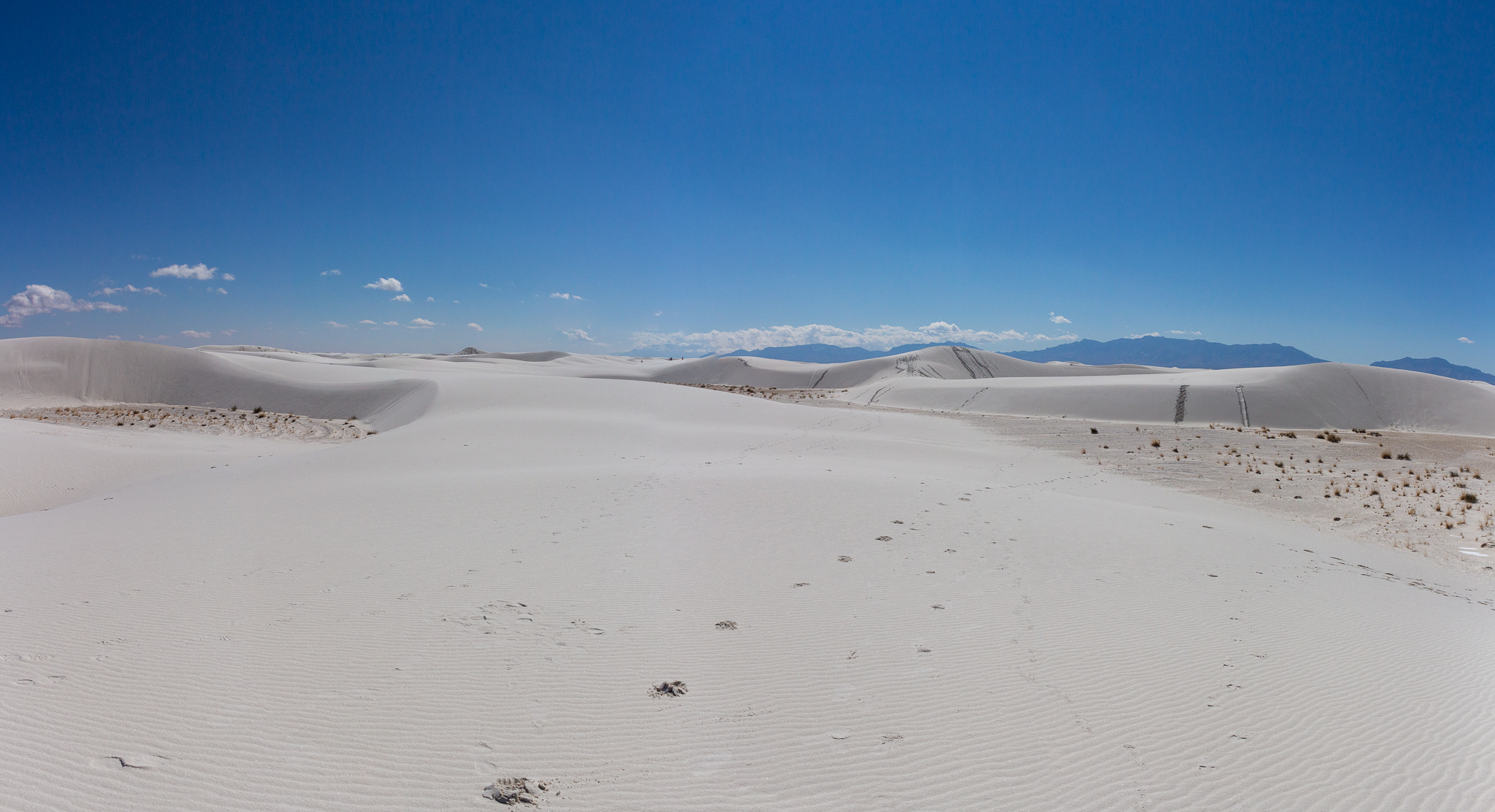 whitesands