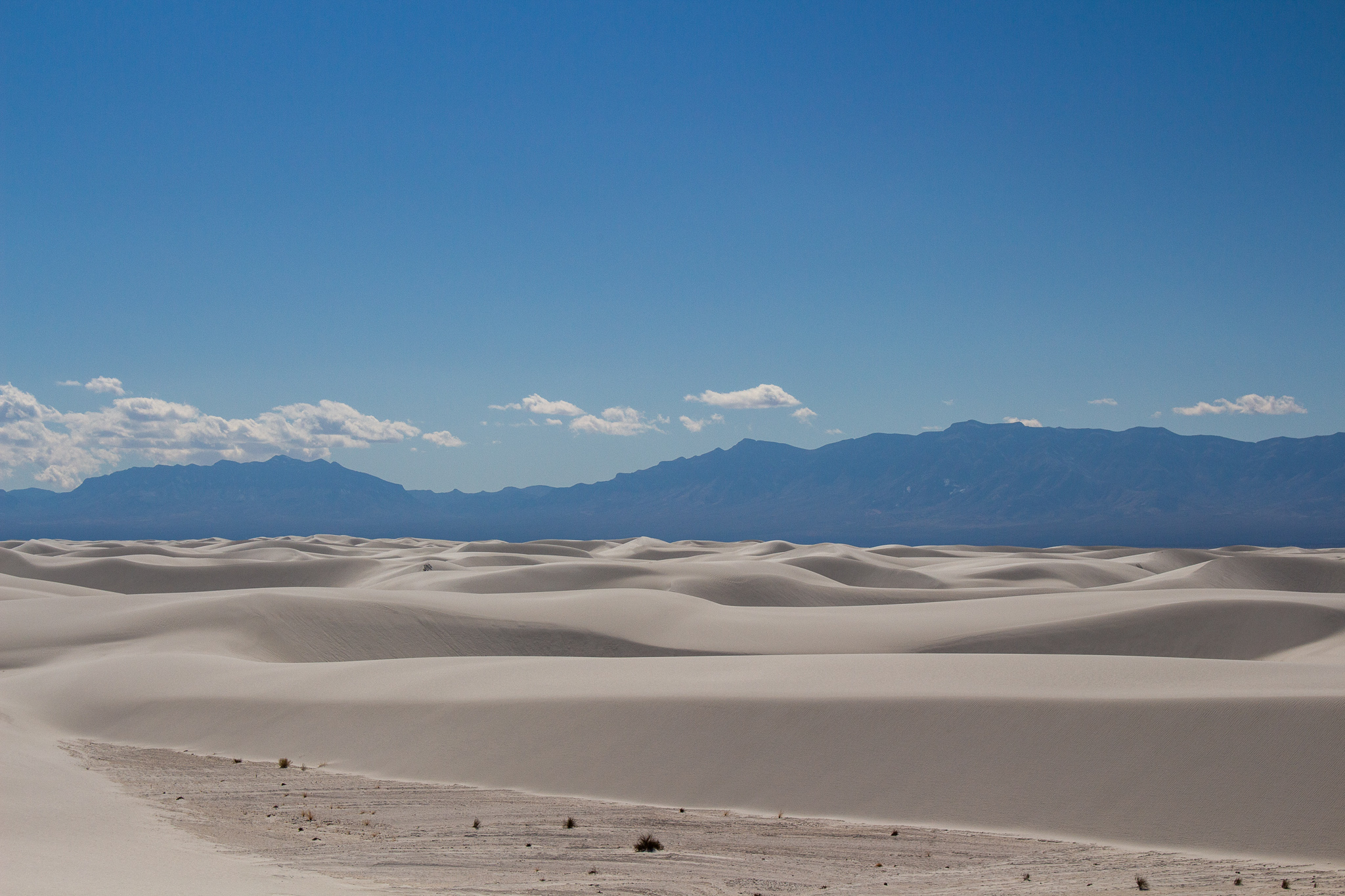 whitesands